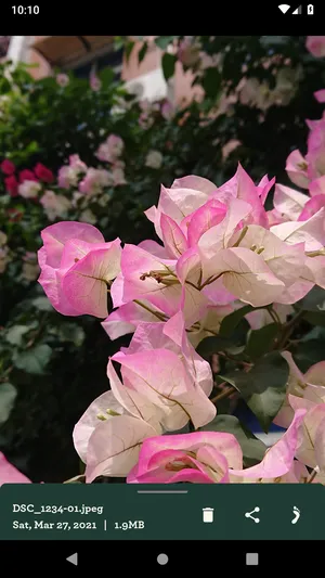 Les Pas  Nextcloud相册应用